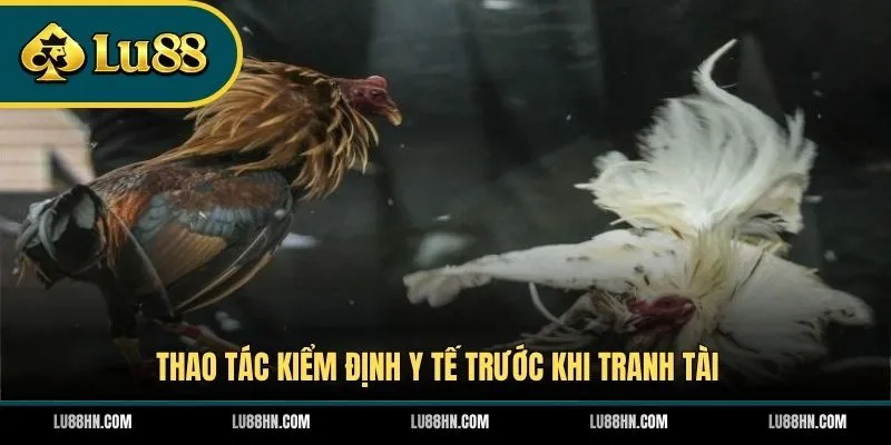 Thao tác kiểm định y tế trước khi tranh tài 